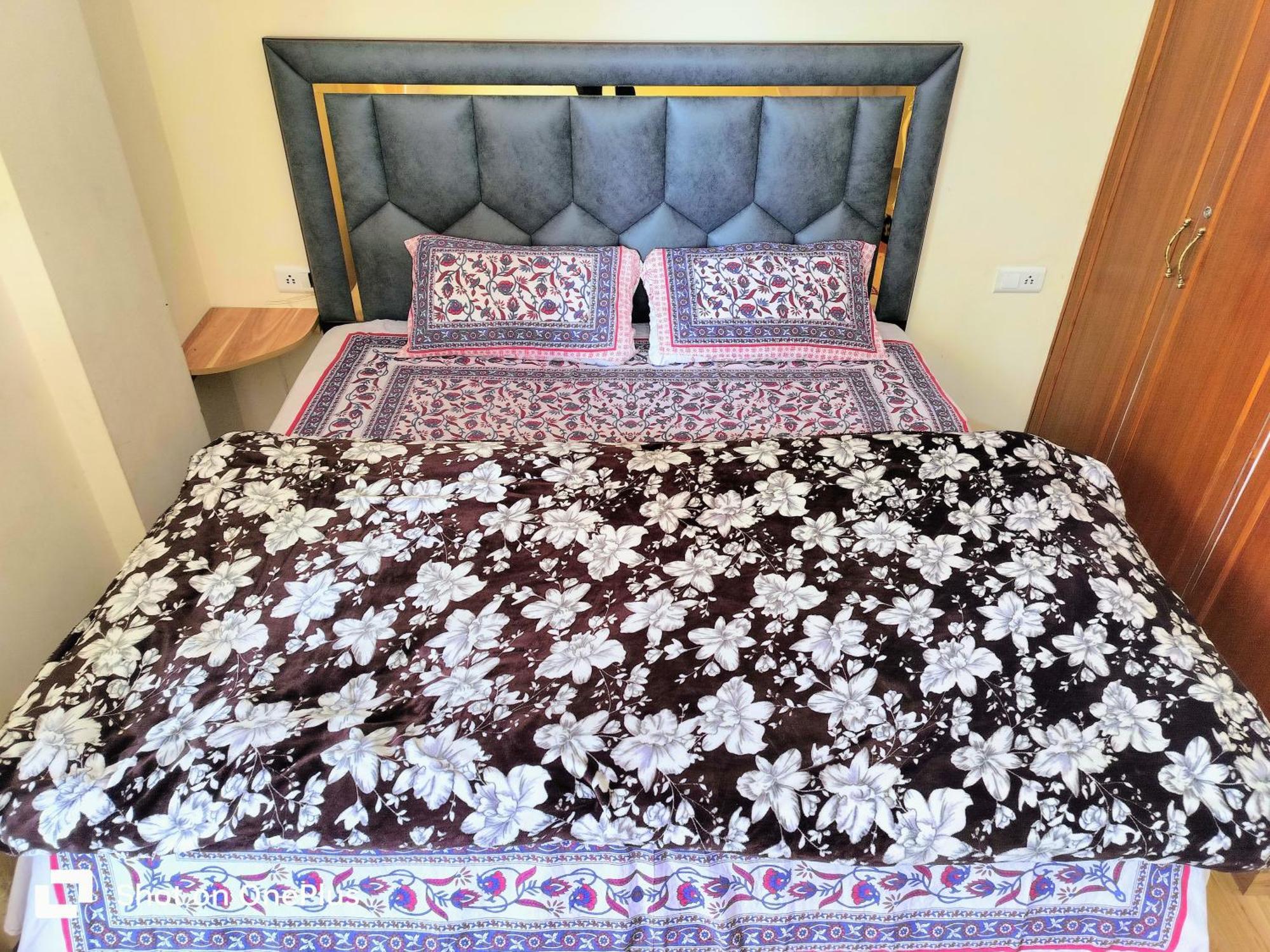 Shimla Vibes B & B Free Pick And Drop From Isbt Shimla Exterior foto
