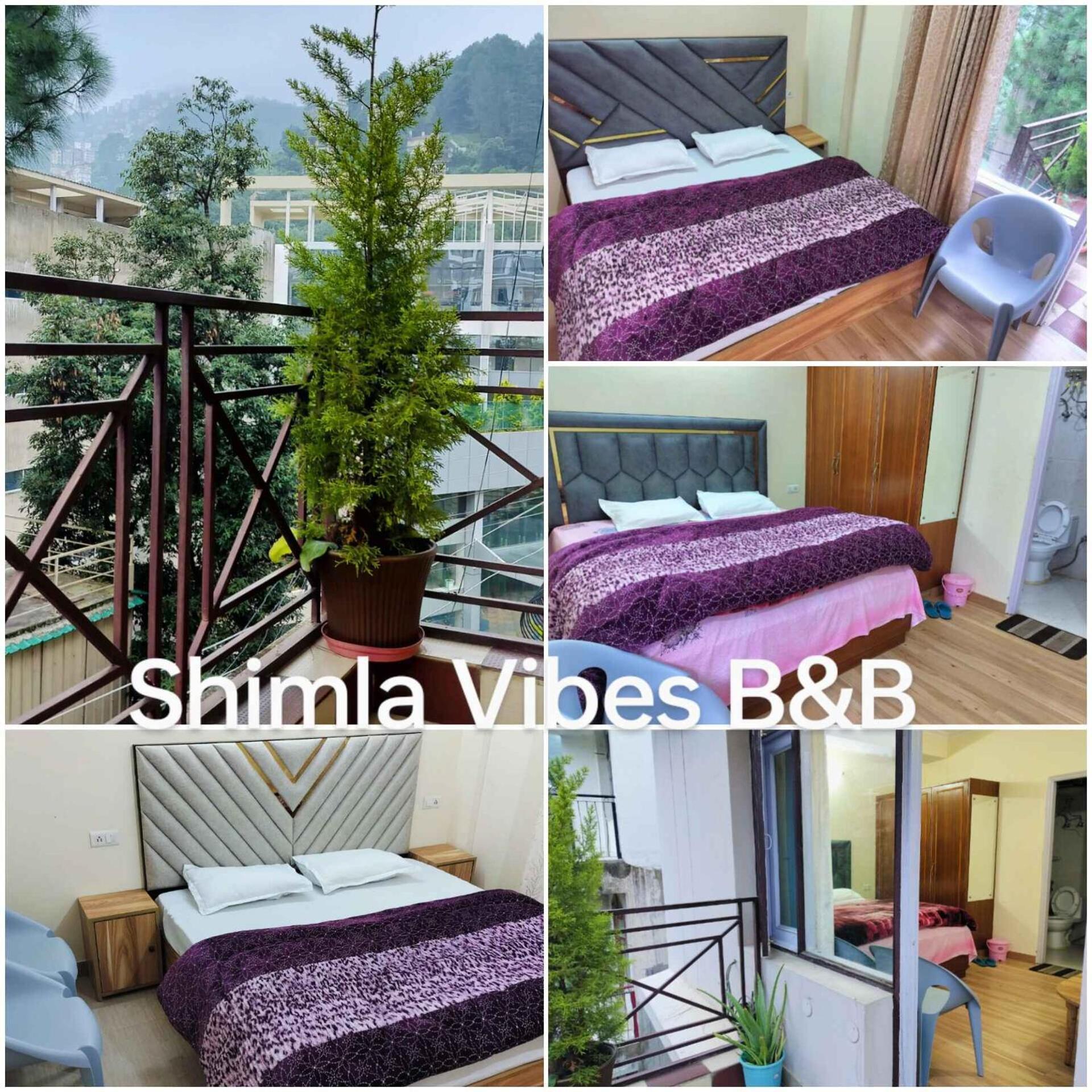 Shimla Vibes B & B Free Pick And Drop From Isbt Shimla Exterior foto